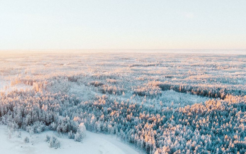 移民芬兰| 芬兰人的冬天是怎样度过的？