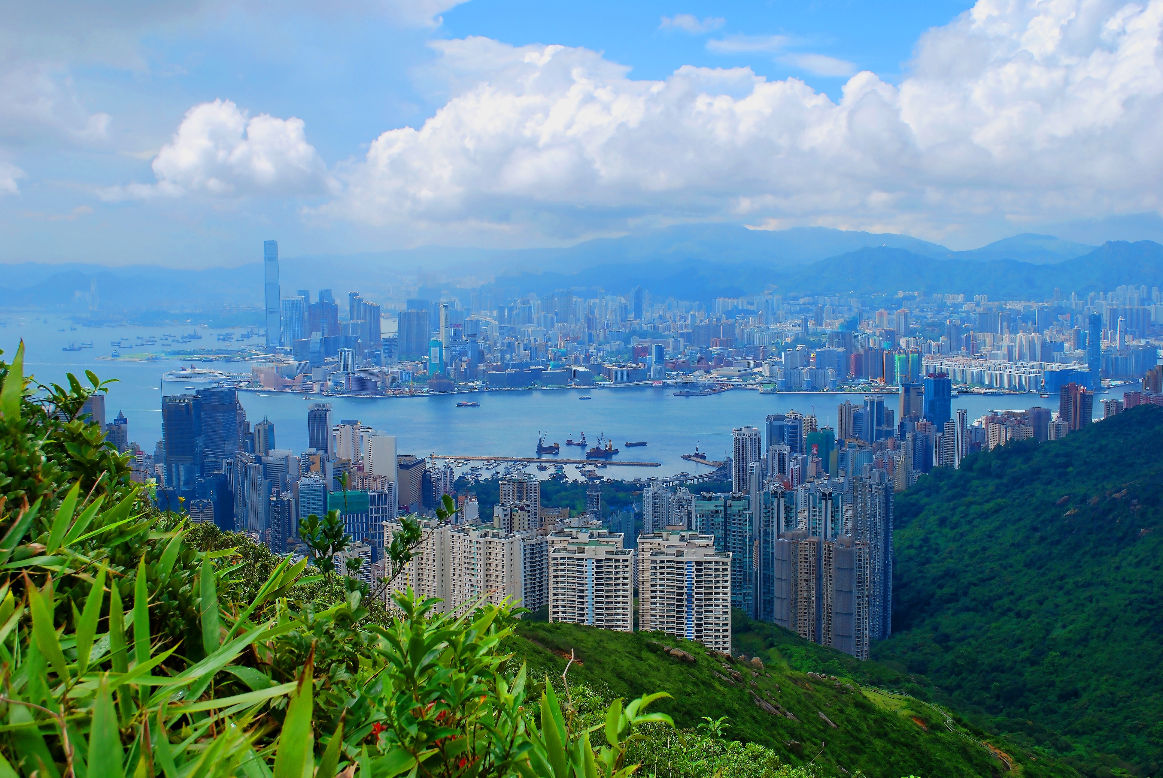 香港投资移民新政深度解析：300万科创投资能否收回？关键风险与策略全透视