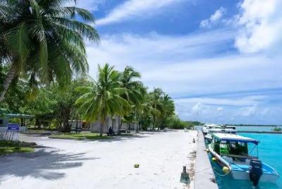 1733473686362688.jpg 1.jpg